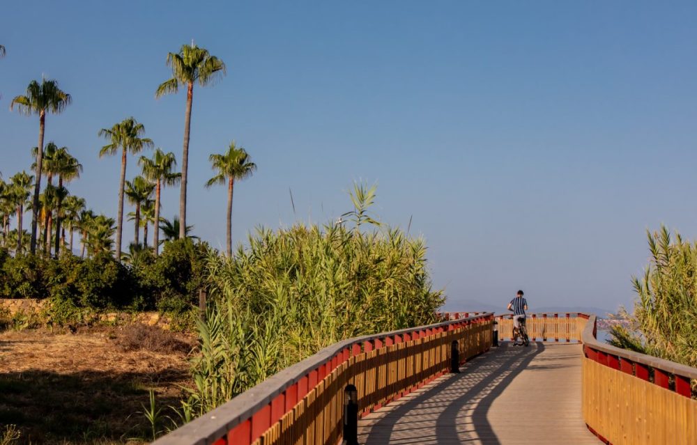 El corredor litoral de Estepona: cada vez más cerca de ser una realidad - 0267 9R5A9076 El corredor litoral de Estepona: cada vez más cerca de ser una realidad - 0267 9R5A9076