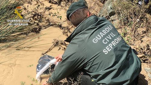 La Guardia Civil interviene en Frigiliana tras hallar cuatro cabras hacinadas y en estado deplorable - 20250211 003241 La Guardia Civil interviene en Frigiliana tras hallar cuatro cabras hacinadas y en estado deplorable - 20250211 003241