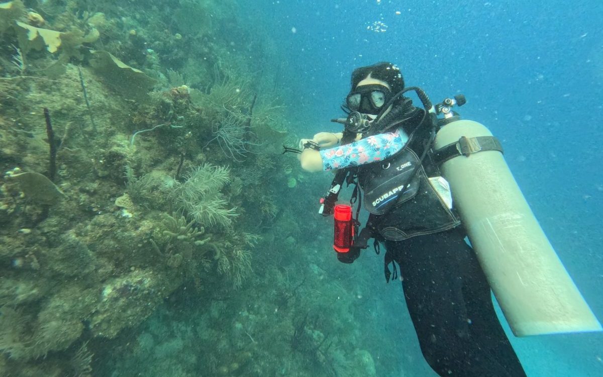 Andrea Agüera, la joven de Secadero que hace historia en el buceo científico - 476363603 1096245875880962 955332625524147832 n e1739286112613 Andrea Agüera Muñoz, la casareña de Secadero que se abre paso en el buceo científico.