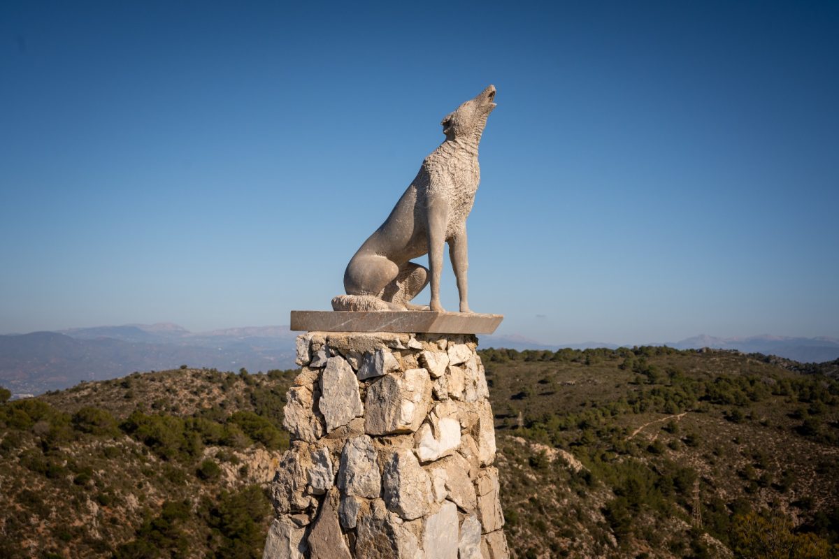 Torremolinos acoge la II Carrera por Montaña Cañada del Lobo - WhatsApp Image 2025 02 06 at 14.15.28 2 Torremolinos acoge la II Carrera por Montaña Cañada del Lobo - WhatsApp Image 2025 02 06 at 14.15.28 2