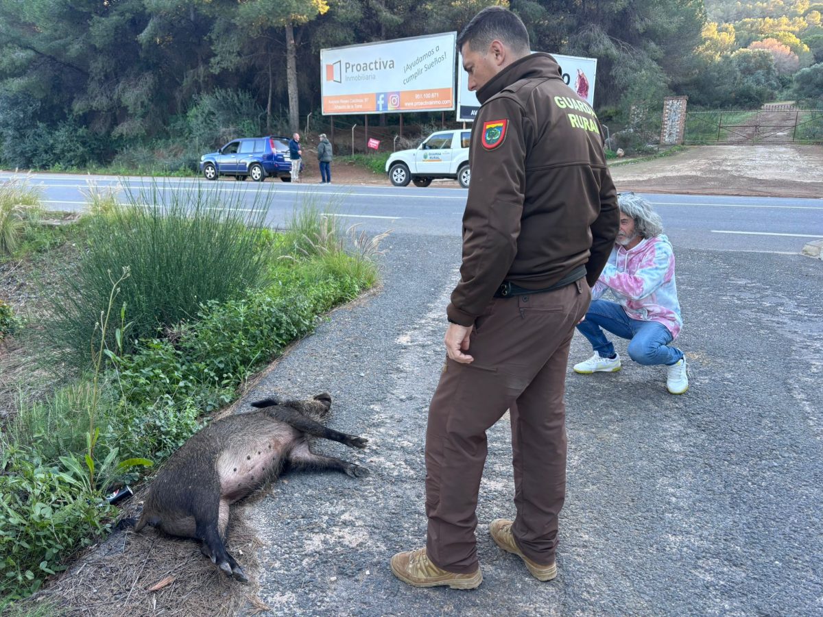 "No somos asesinos": los cazadores de Málaga exigen reabrir el coto de caza Las Canteras de Churriana - WhatsApp Image 2025 02 19 at 10.40.43 "No somos asesinos": los cazadores de Málaga exigen reabrir el coto de caza Las Canteras de Churriana - WhatsApp Image 2025 02 19 at 10.40.43