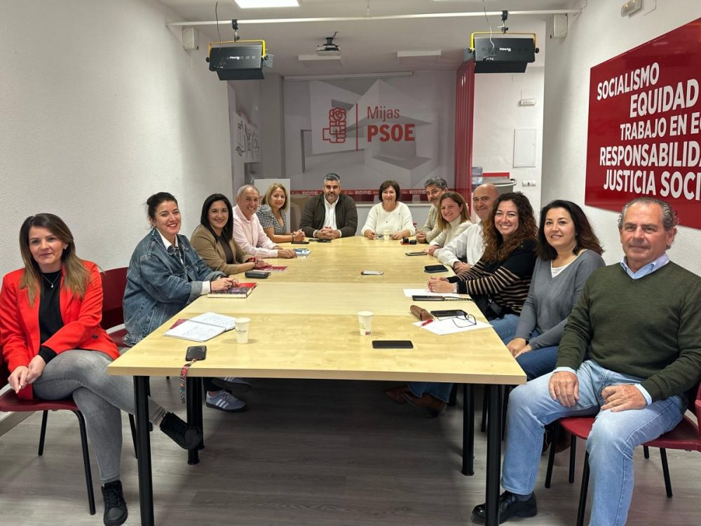 PSOE de Fuengirola y Mijas reclaman la construcción urgente de un hospital - psoe mijas fuengirola hospital PSOE de Fuengirola y Mijas reclaman la construcción urgente de un hospital - psoe mijas fuengirola hospital
