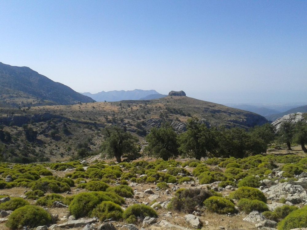 Cuatro rutas senderistas imprescindibles para descubrir la Sierra de las Nieves - 4206821Master Cuatro rutas senderistas imprescindibles para descubrir la Sierra de las Nieves - 4206821Master