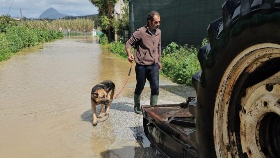 Heroico rescate de dos perros y un erizo en Secadero tras el desbordamiento del río - 480550168 1244531377677482 5720778675428016230 n e1742303070873 Heroico rescate de dos perros y un erizo en Secadero tras el desbordamiento del río - 480550168 1244531377677482 5720778675428016230 n e1742303070873