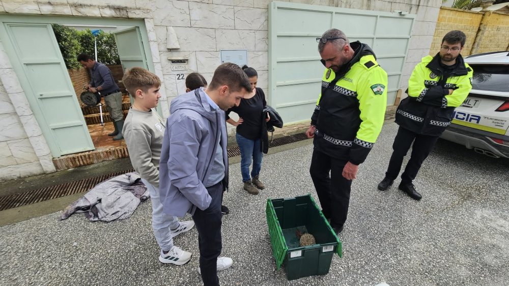 Heroico rescate de dos perros y un erizo en Secadero tras el desbordamiento del río - 480802282 1244531324344154 1418037382554076553 n Heroico rescate de dos perros y un erizo en Secadero tras el desbordamiento del río - 480802282 1244531324344154 1418037382554076553 n
