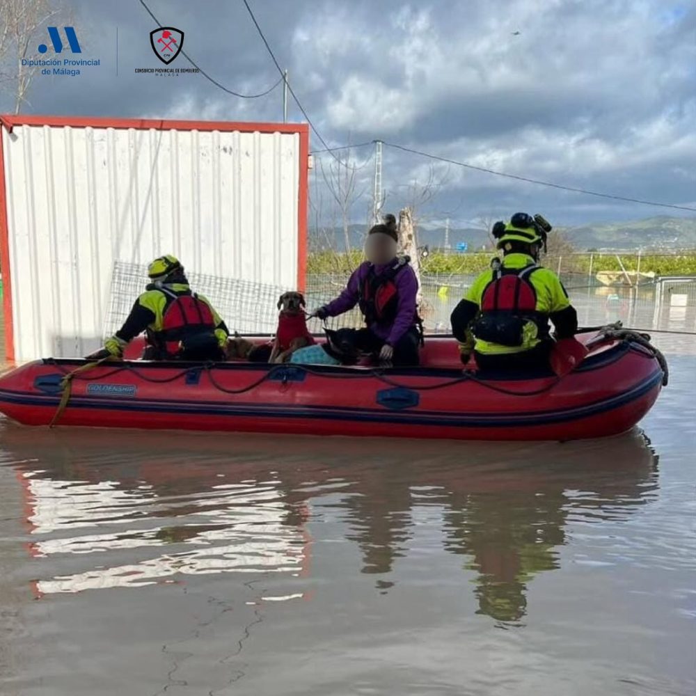 Rescatan a 16 perros y 6 voluntarios de un refugio inundado en Cártama - 485037490 18360289435132513 3600516019870387087 n Rescatan a 16 perros y 6 voluntarios de un refugio inundado en Cártama - 485037490 18360289435132513 3600516019870387087 n