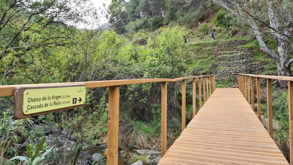 Cuatro rutas senderistas imprescindibles para descubrir la Sierra de las Nieves - 63827500Master Cuatro rutas senderistas imprescindibles para descubrir la Sierra de las Nieves - 63827500Master