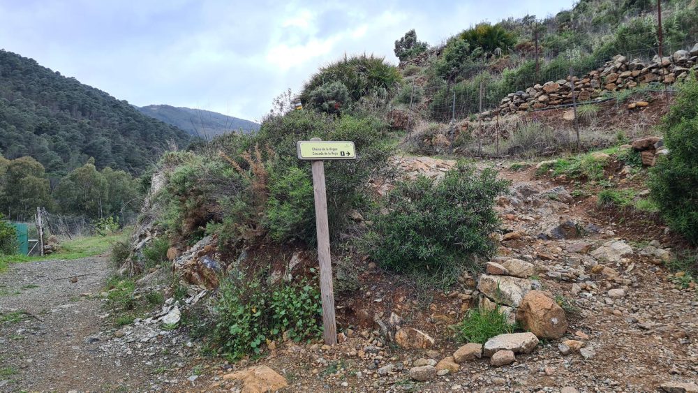 Cuatro rutas senderistas imprescindibles para descubrir la Sierra de las Nieves - 63827530Master Cuatro rutas senderistas imprescindibles para descubrir la Sierra de las Nieves - 63827530Master