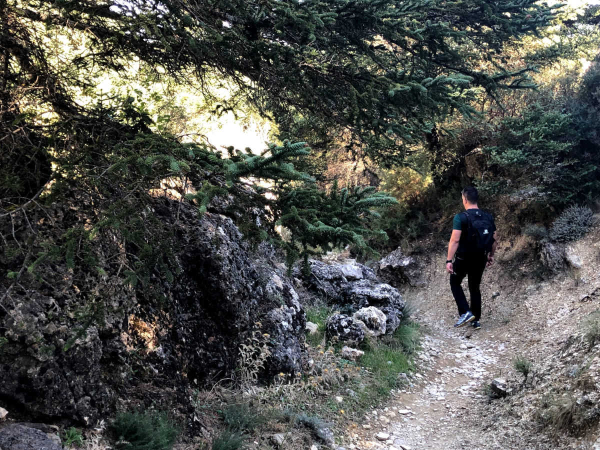 Cuatro rutas senderistas imprescindibles para descubrir la Sierra de las Nieves - Descenso de una ruta en la Sierra de las Nieves Cuatro rutas senderistas imprescindibles para descubrir la Sierra de las Nieves - Descenso de una ruta en la Sierra de las Nieves