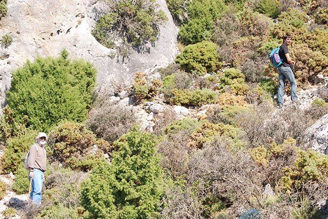 Descubren 44 nuevos ecosistemas en el Parque Nacional de la Sierra de las Nieves - Equipoweb Descubren 44 nuevos ecosistemas en el Parque Nacional de la Sierra de las Nieves - Equipoweb