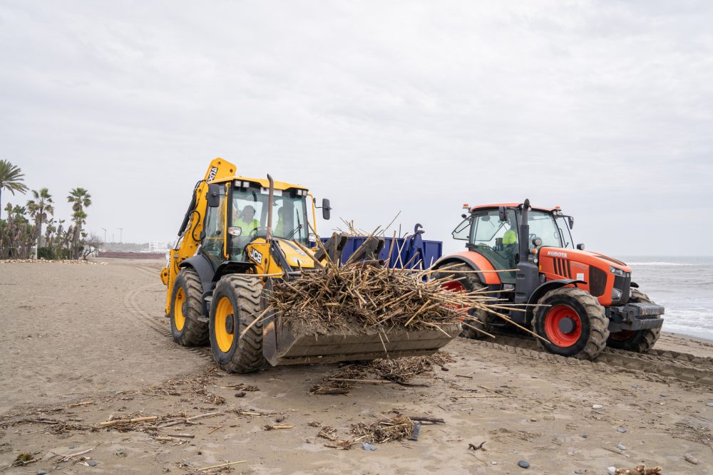 Retiran de las playas de Estepona más de 12.000 metros cúbicos de cañas arrastradas por el temporal - LIMPIEZA PLAYA CANAS 20 03 25 3 Retiran de las playas de Estepona más de 12.000 metros cúbicos de cañas arrastradas por el temporal - LIMPIEZA PLAYA CANAS 20 03 25 3