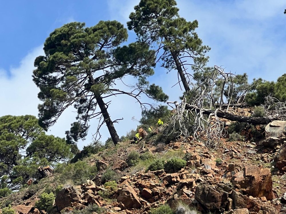 La Junta acelera las obras en la carretera Ronda-San Pedro, pero el caos reinará como mínimo 6 meses - Obras A 397 4 La Junta acelera las obras en la carretera Ronda-San Pedro, pero el caos reinará como mínimo 6 meses - Obras A 397 4