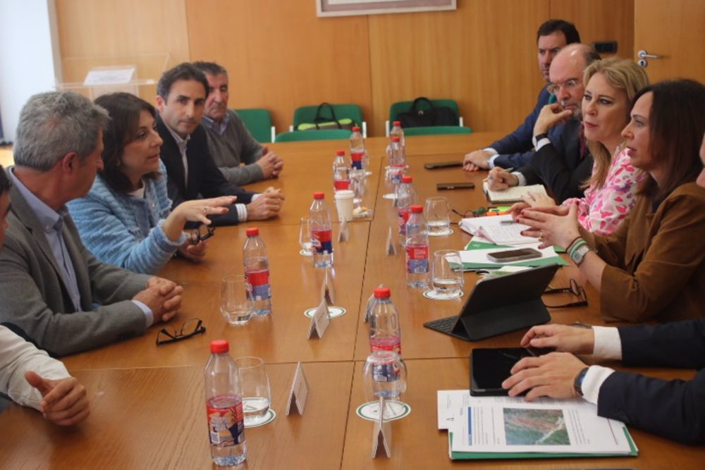 Ronda y Junta se reúnen para abordar acciones para empresas afectadas por el corte de A-397 - Reunion Ronda Ronda y Junta se reúnen para abordar acciones para empresas afectadas por el corte de A-397 - Reunion Ronda