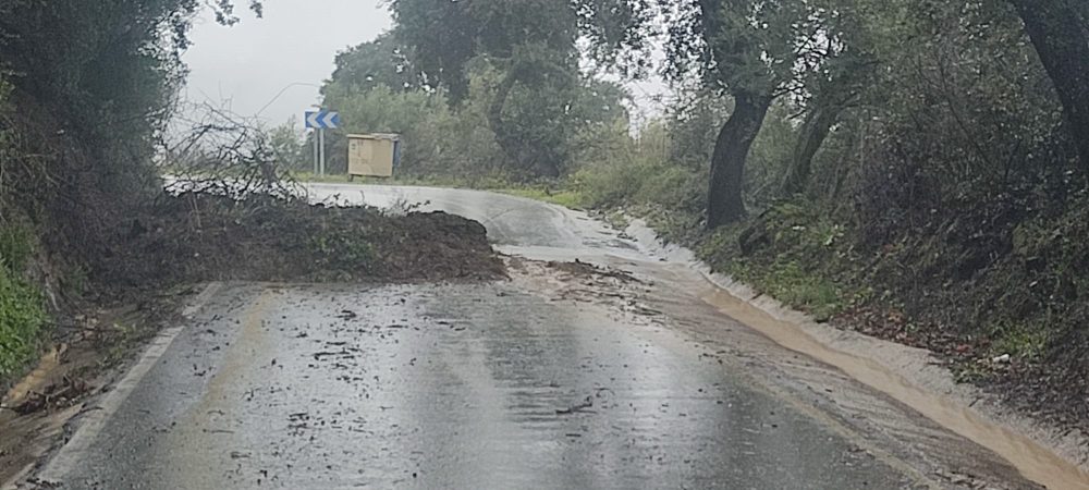 Andalucía activa la fase de emergencia por inundaciones ante el aviso rojo en Ronda - WhatsApp Image 2025 03 03 at 13.03.53 Andalucía activa la fase de emergencia por inundaciones ante el aviso rojo en Ronda - WhatsApp Image 2025 03 03 at 13.03.53