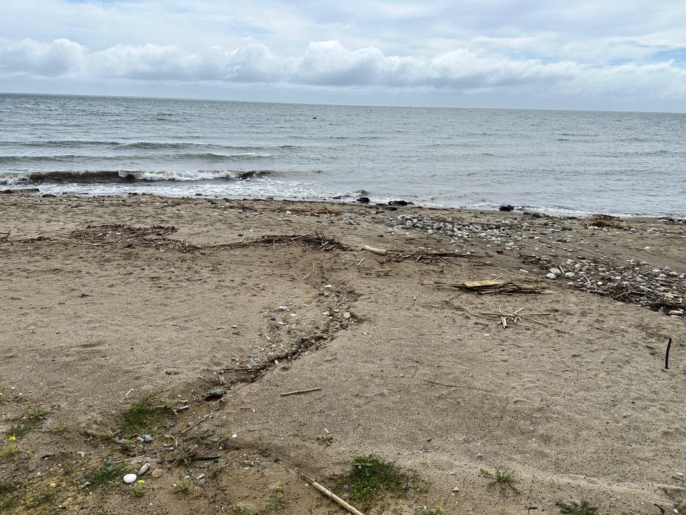 Marbella se enfrenta a la Semana Santa con las playas en una situación crítica - WhatsApp Image 2025 03 20 at 16.54.07 Marbella se enfrenta a la Semana Santa con las playas en una situación crítica - WhatsApp Image 2025 03 20 at 16.54.07