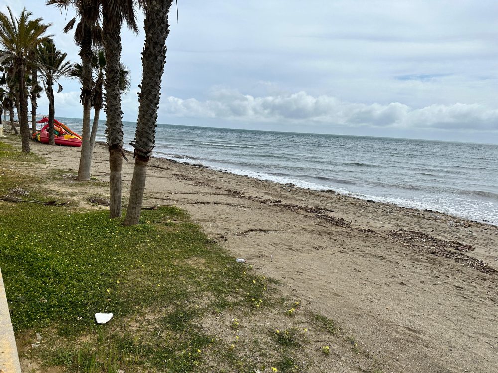 Marbella se enfrenta a la Semana Santa con las playas en una situación crítica - WhatsApp Image 2025 03 20 at 16.54.08 Marbella se enfrenta a la Semana Santa con las playas en una situación crítica - WhatsApp Image 2025 03 20 at 16.54.08