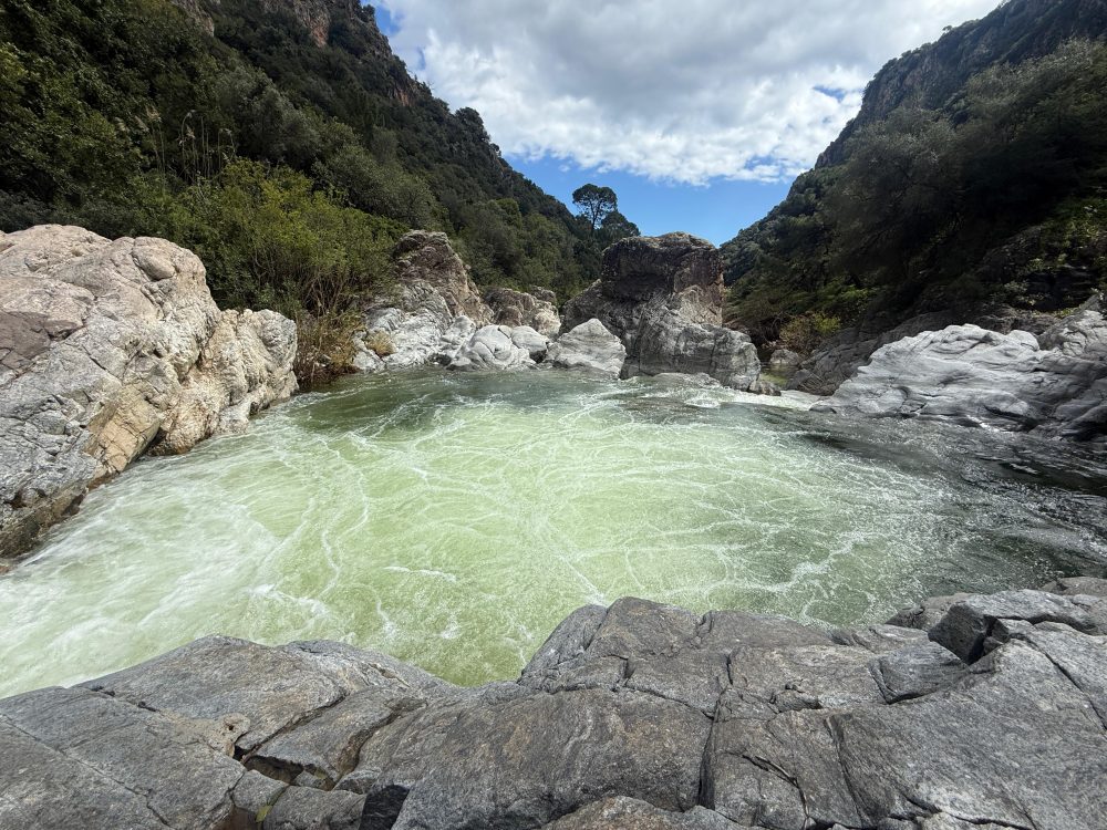Todo lo que debes saber para hacer la ruta de las Angosturas del río Guadalmina en Benahavís - WhatsApp Image 2025 03 26 at 09.51.16 1 Todo lo que debes saber para hacer la ruta de las Angosturas del río Guadalmina en Benahavís - WhatsApp Image 2025 03 26 at 09.51.16 1