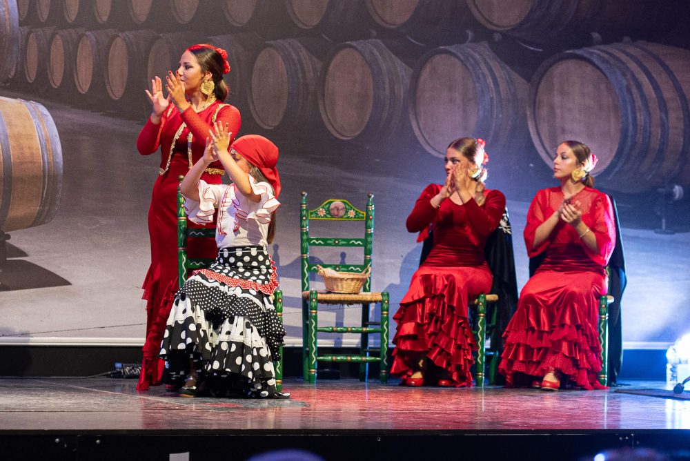 II Jornada de Puertas Abiertas ‘Flamenco’: una cita gratuita para acercarse al arte jondo en Estepona - flamenco estepona DSC00384 Espectáculo de flamenco en Estepona.