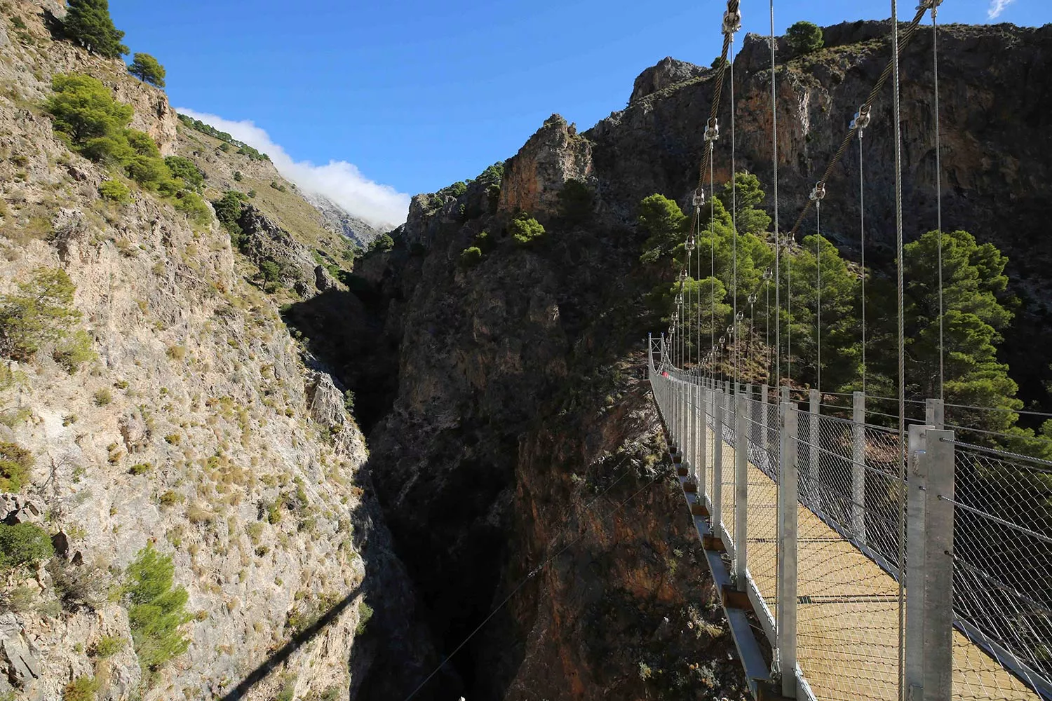 El espectacular sendero de Málaga que National Geographic compara con el Caminito del Rey - puente colgante saltillo canillas El espectacular sendero de Málaga que National Geographic compara con el Caminito del Rey - puente colgante saltillo canillas