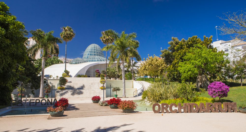El Orquidario de Estepona celebra una década de vida exitosa con más de medio millón de visitas - 0024 9R5A1316 El Orquidario de Estepona celebra una década de vida exitosa con más de medio millón de visitas - 0024 9R5A1316