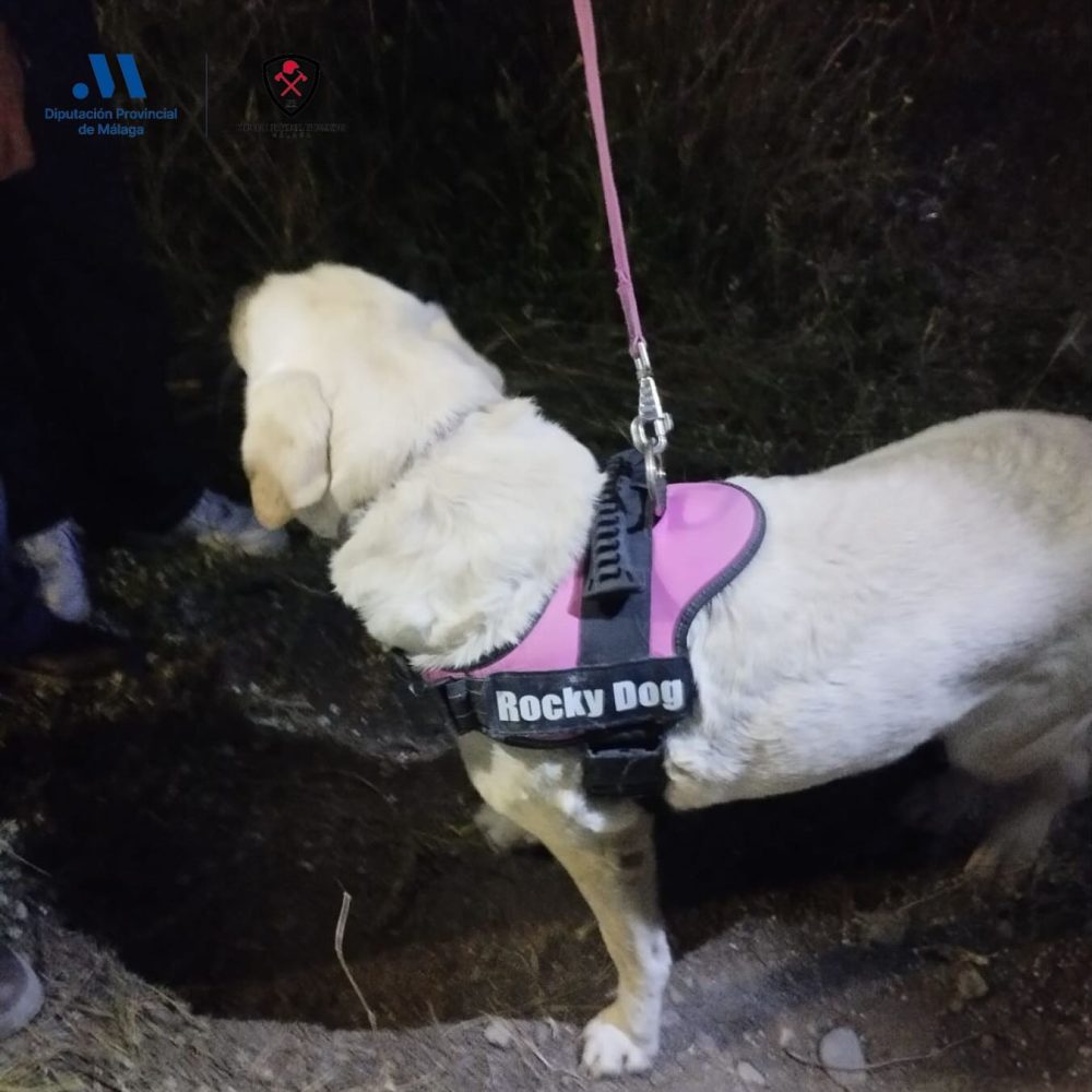 Rescatan a un perro que se había caído en un pozo en Vélez-Málaga - 488363232 18362061424132513 6124432505275260330 n Rescatan a un perro que se había caído en un pozo en Vélez-Málaga - 488363232 18362061424132513 6124432505275260330 n