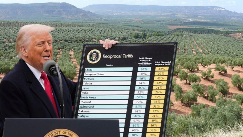Andalucía y Valencia exigen al Gobierno mayor protección frente a los aranceles de Donald Trump - Diseno sin titulo 27 Andalucía y Valencia exigen al Gobierno mayor protección frente a los aranceles de Donald Trump - Diseno sin titulo 27