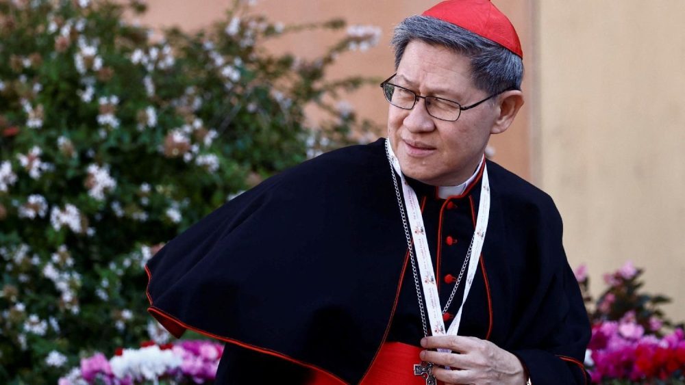 ¿Quién será el próximo Papa? Esto es lo que dicen las casas de apuestas sobre el sucesor de Francisco - image 15 ¿Quién será el próximo Papa? Esto es lo que dicen las casas de apuestas sobre el sucesor de Francisco - image 15