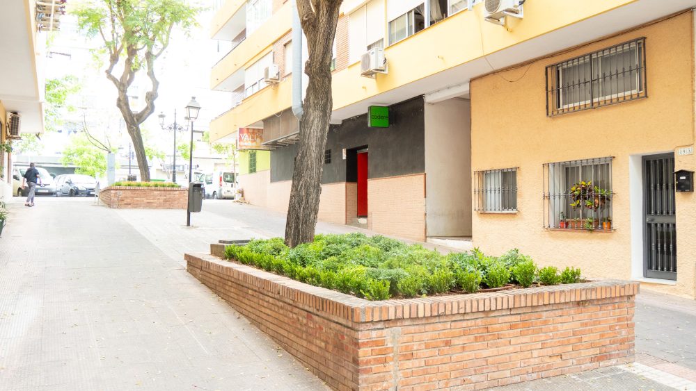 Marbella renueva las zonas verdes de los pasajes Salvador Allende y Simón Bolívar - Jardines de Puya 3 Jardín en Marbella