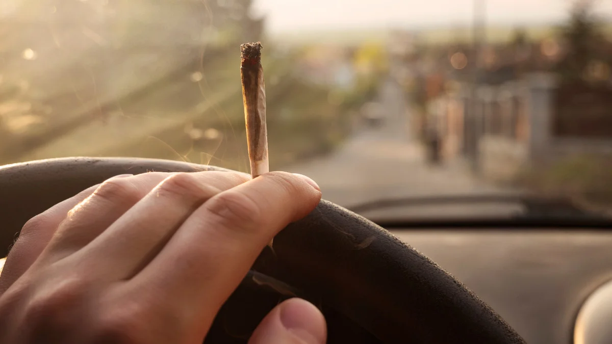 ¿Te pueden multar por fumar un porro en tu coche parado? Interior confirma que no - cannabis conductor.jpg ¿Te pueden multar por fumar un porro en tu coche parado? Interior confirma que no - cannabis conductor.jpg