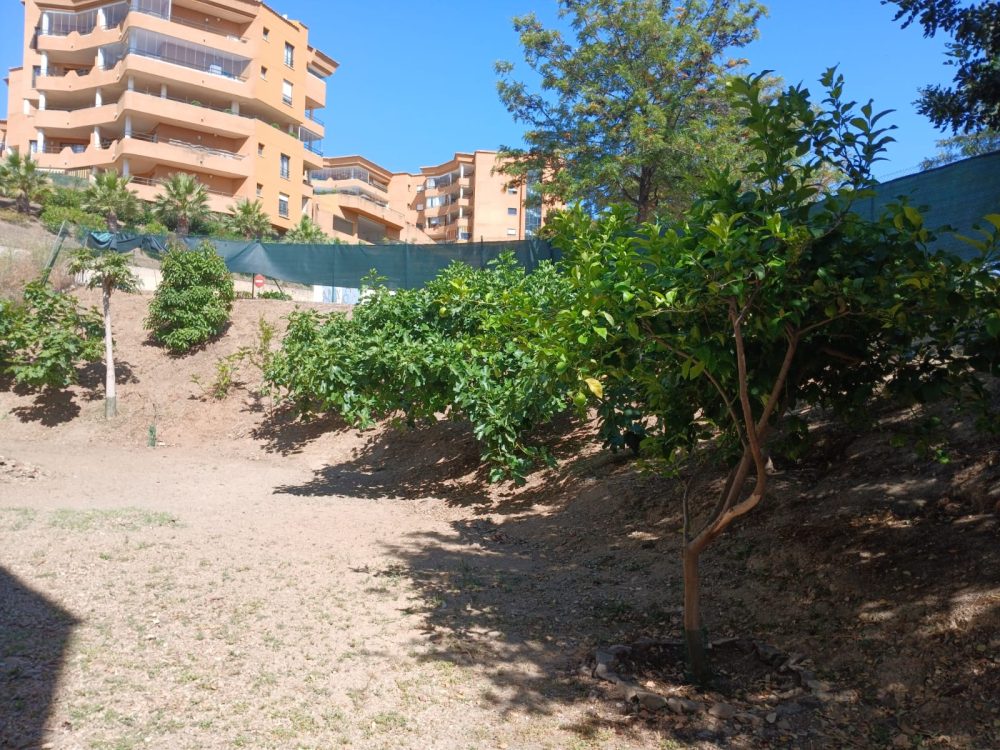 Los espetos conquistan Madrid por una buena causa: más de 6.000 euros para AFA Fuengirola-Mijas Costa - jardin afa fuengirola mijas Los espetos conquistan Madrid por una buena causa: más de 6.000 euros para AFA Fuengirola-Mijas Costa - jardin afa fuengirola mijas