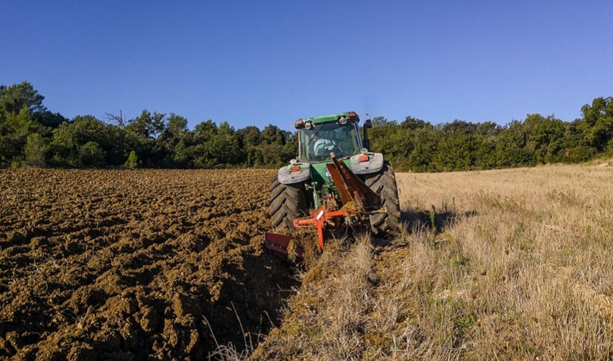Muere un hombre de 72 años tras al volcar un tractor en un camino de Ronda - Tractor Muere un hombre de 72 años tras al volcar un tractor en un camino de Ronda - Tractor