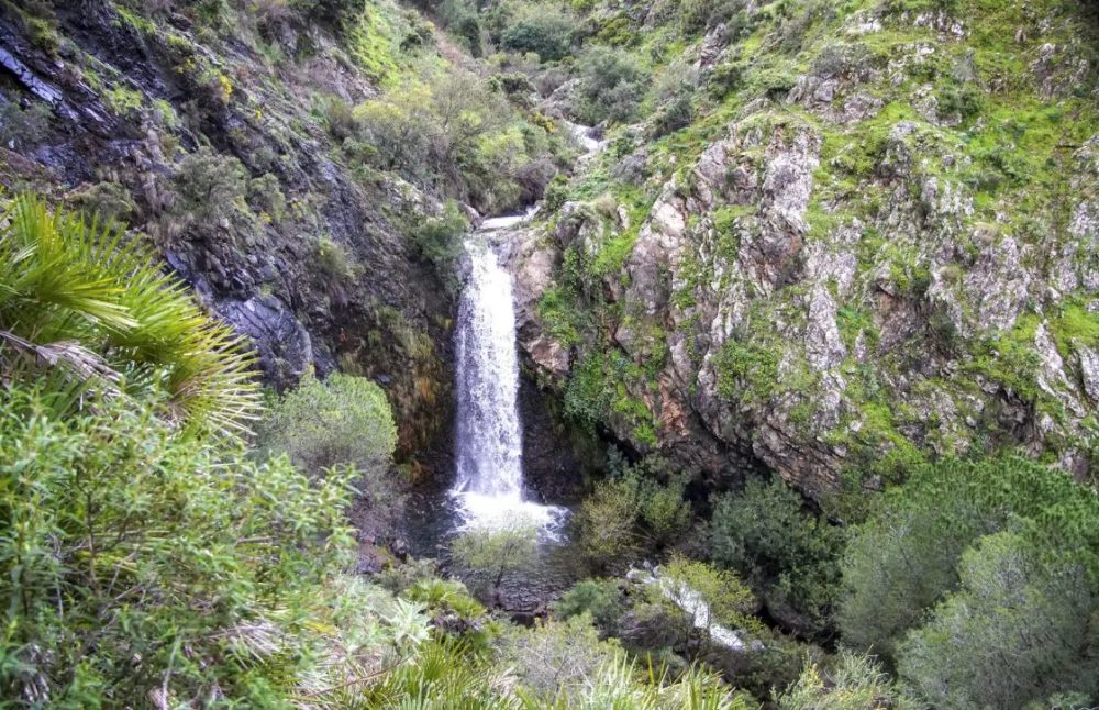 La Costa del Sol no es solo playa: cinco rutas de senderismo perfectas para refrescarte este verano - charco virgen La Costa del Sol no es solo playa: cinco rutas de senderismo perfectas para refrescarte este verano - charco virgen