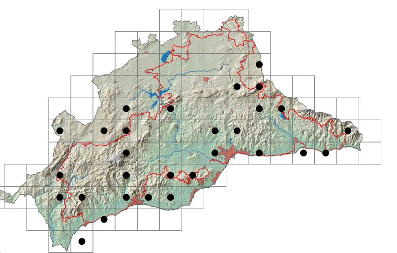 Cinco serpientes que puedes encontrar en Málaga: guardianas silenciosas de nuestros ecosistemas - habitat culebra collar mediterranea Cinco serpientes que puedes encontrar en Málaga: guardianas silenciosas de nuestros ecosistemas - habitat culebra collar mediterranea