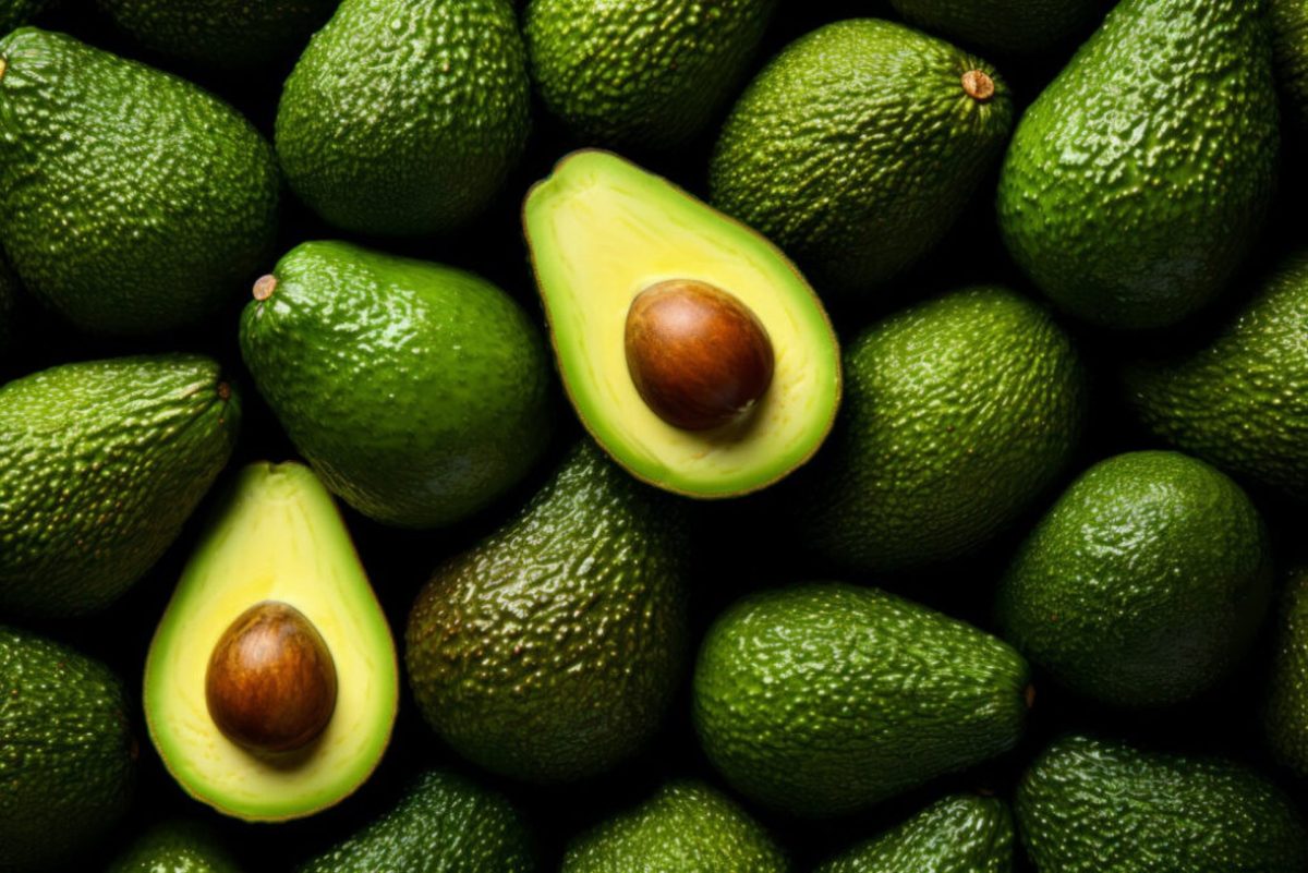 Ecologistas, contra la "expansión" de los aguacates en el Valle del Genal: "Acaban con los recursos hídricos" - Aguacates Aguacates