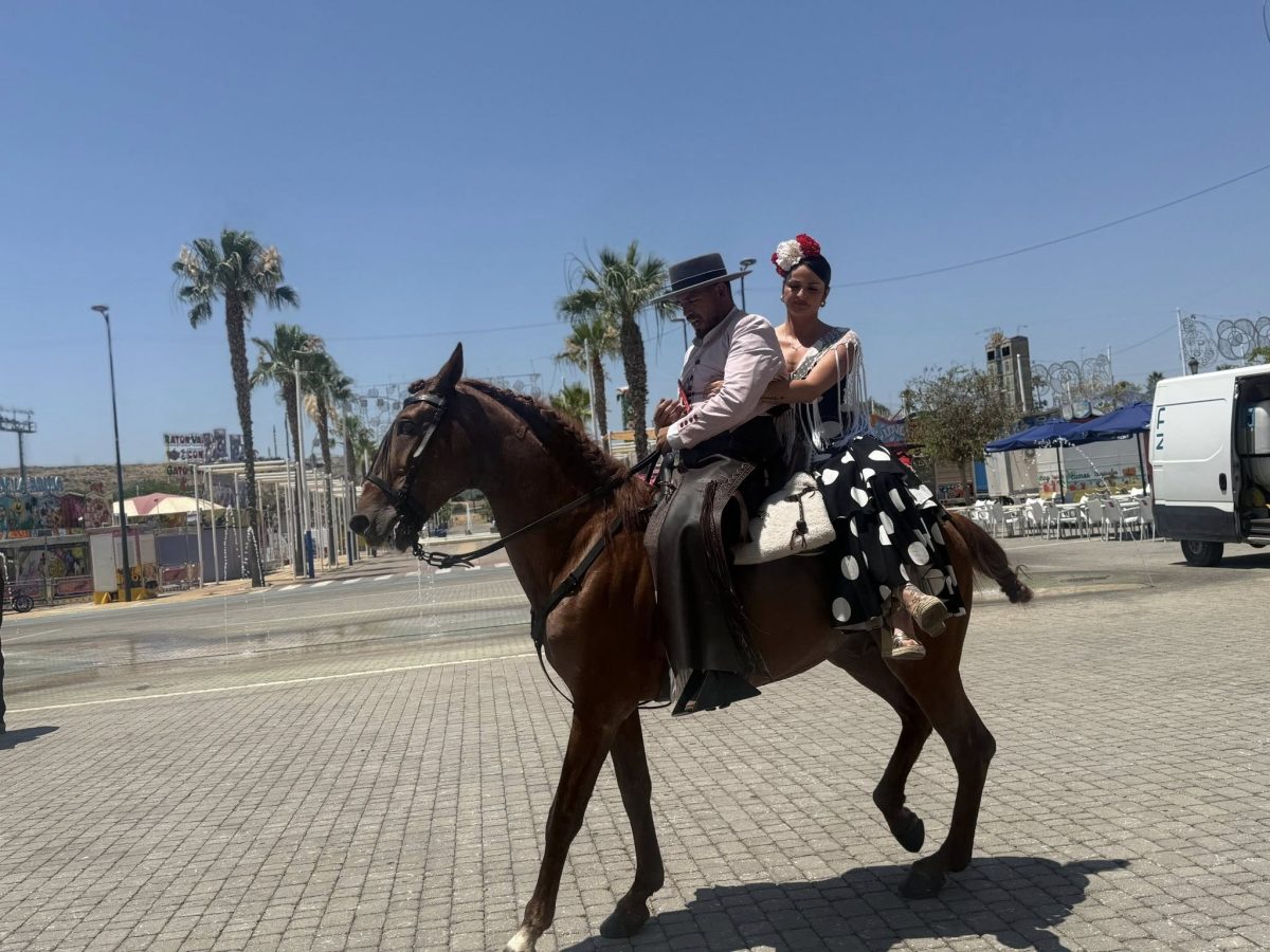 Los caballos regalan estampas de categoría en el concurso del domingo de Feria de Estepona - Caballos Estepona Concurso caballos Estepona