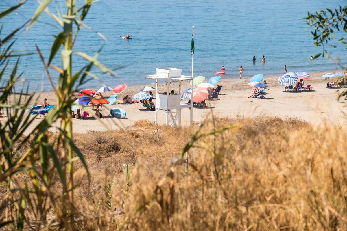 Picaduras de medusa, rescates y sanciones: así ha sido el arranque del verano en Marbella - Parque mediterraneo Parque mediterraneo