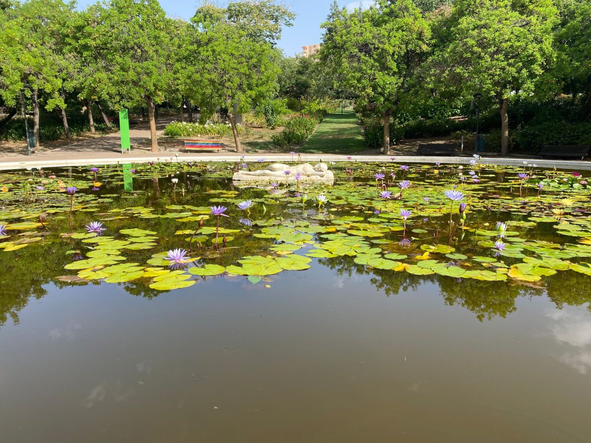 Más verde, más vida: el Parque de la Paloma de Benalmádena se reinventa con un pionero convenio científico - Parque de la Paloma Benalmadena Parque de la Paloma, Benalmádena