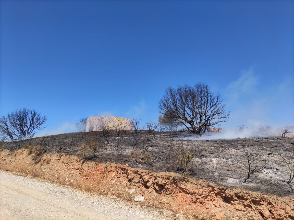 Los Bomberos de Mijas dan por controlado un incendio en Las Lomas del Flamenco - 552525844 1256067113203524 8447126193832640520 n Incendio producido en la zona de Las Lomas del Flamenco (Mijas) /M.C