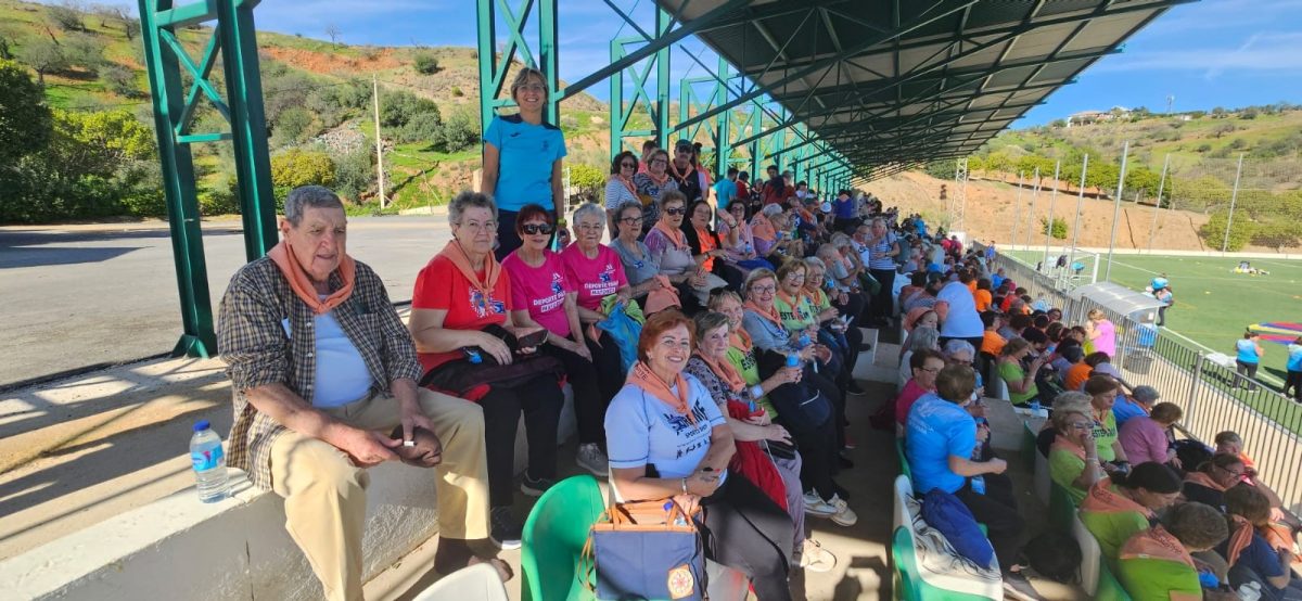 Día Internacional del Mayor 2025 en Estepona: visitas guiadas, merienda y un baile solidario - Dia Internacional del Mayor 2025 en Estepona Día Internacional del Mayor 2025 en Estepona