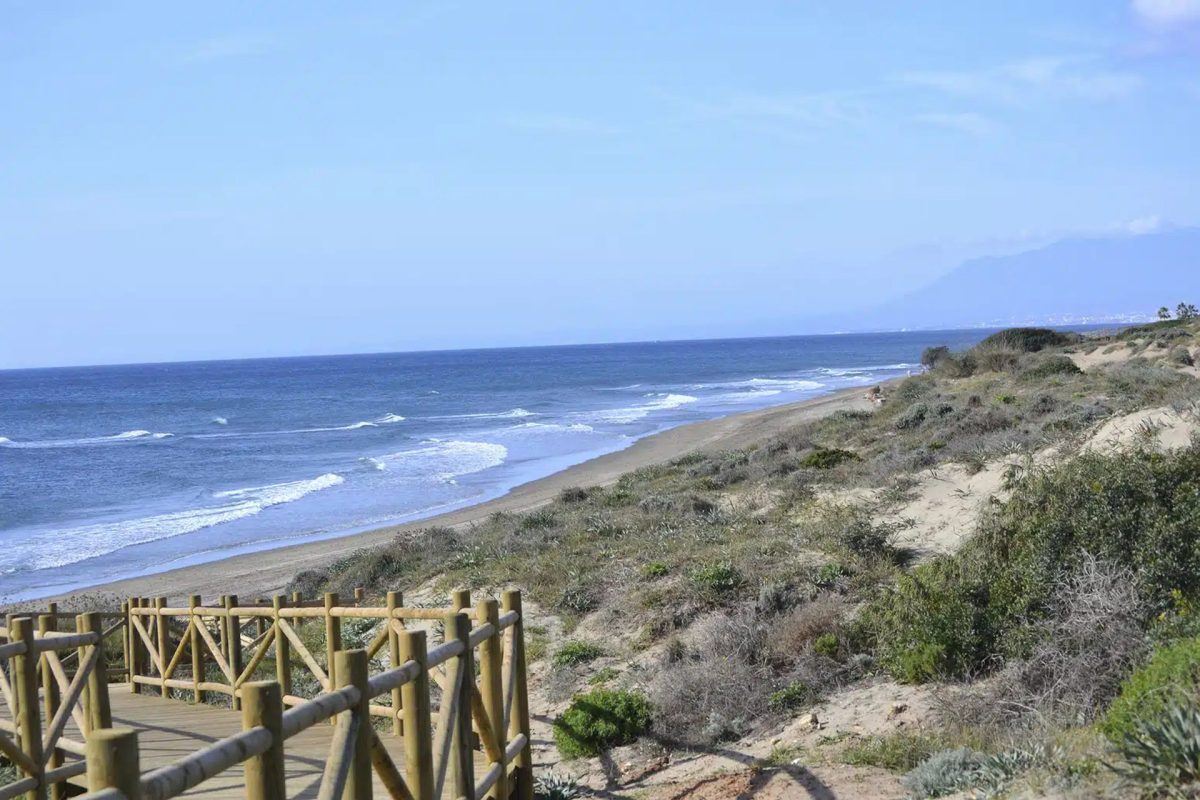 Produnas Marbella lleva actividades de educación ambiental a todos los niveles educativos de centros escolares - Dunas Cabopino Dunas de Artola o Cabopino, en Marbella