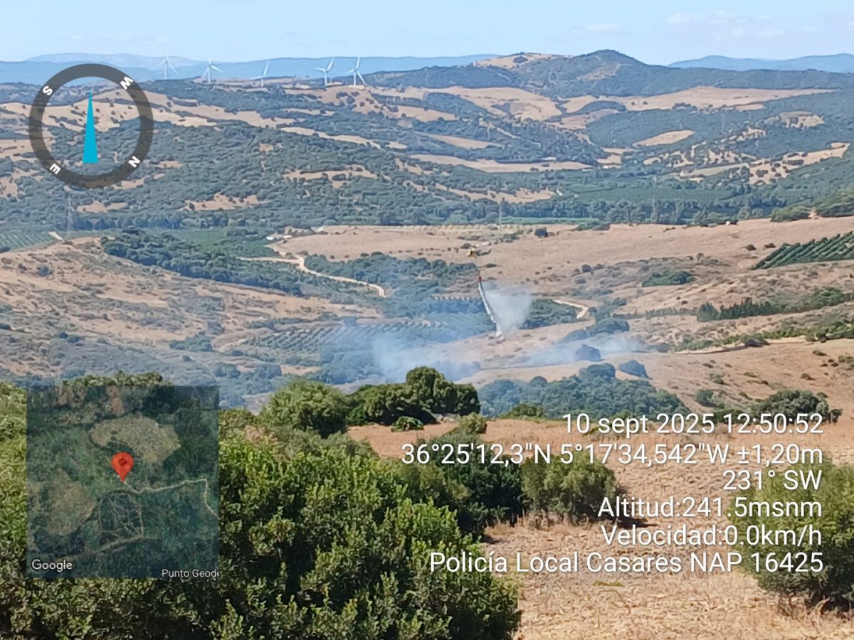 incendio casares hormigas