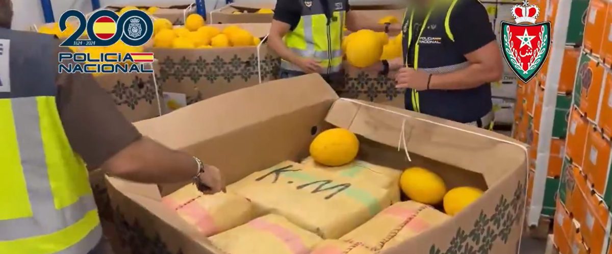 Desarticulada una red hispano-marroquí que intentaba introducir 11 toneladas de hachís por el Puerto de Algeciras - operacion bucos operación bucos