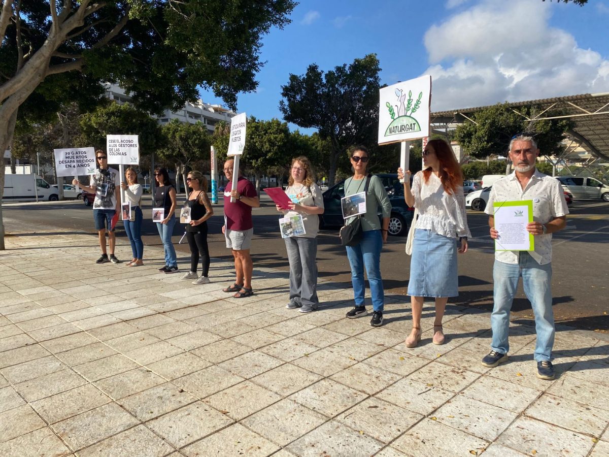 Naturgat protesta por los ataques contra las colonias felinas en Fuengirola - Protesta Naturgat Naturgat protesta por los ataques contra las colonias felinas en Fuengirola - Protesta Naturgat