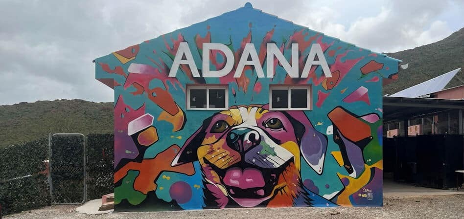 Los perritos de ADANA de Estepona celebran la Navidad este domingo - ADANAAAAA ADANA Estepona