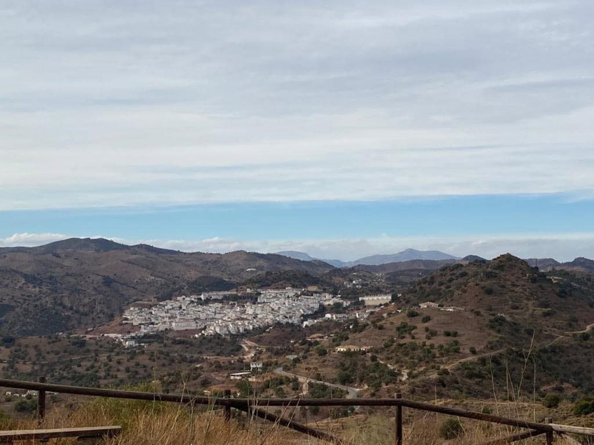 Visto para sentencia el penúltimo juicio al exalcalde de Almogía por presunto delito urbanístico - Almogia Almogía