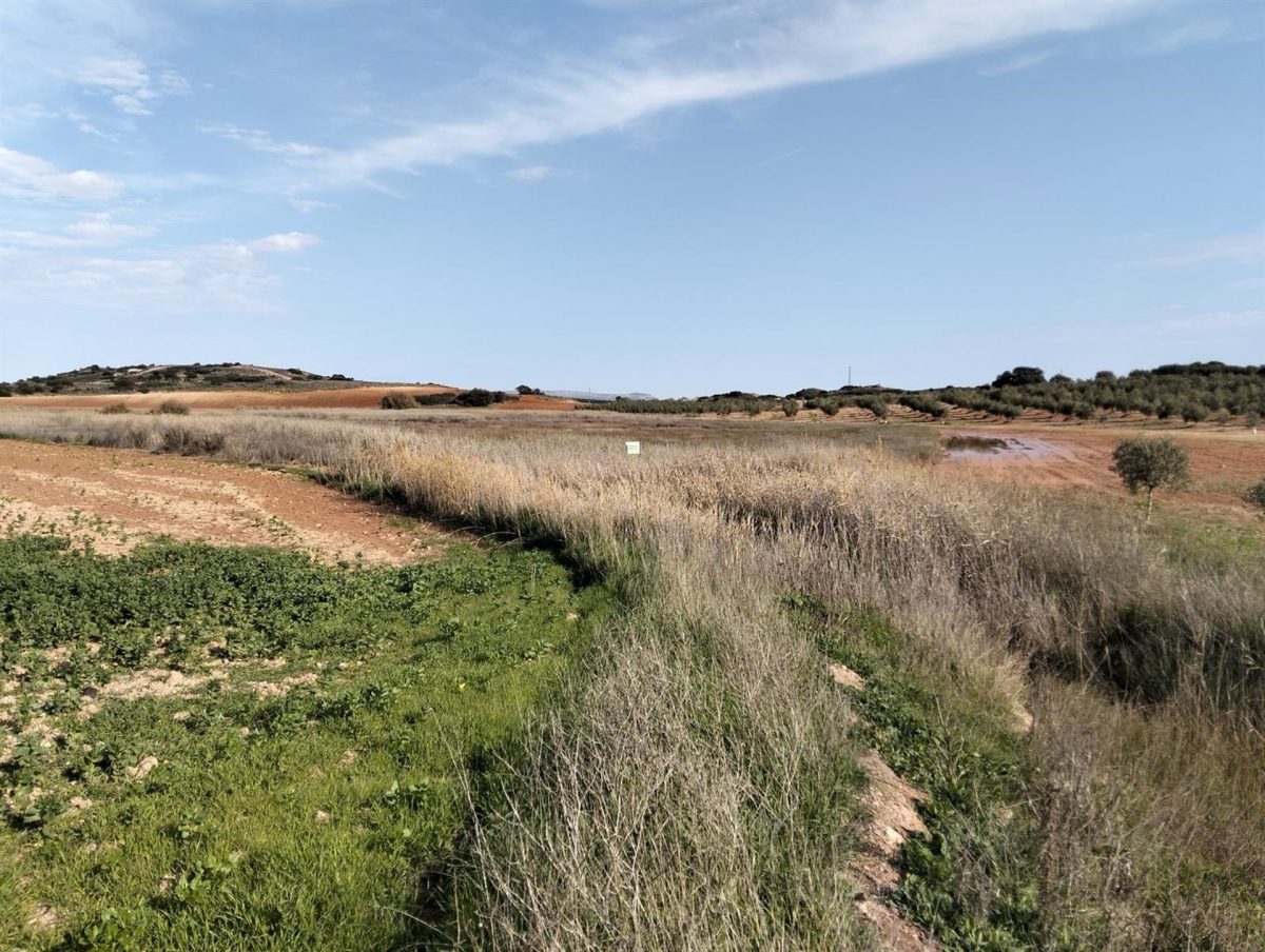 La Junta compra los terrenos de la Laguna de Camuñas en Campillos para su restauración ambiental - Laguna de Camunas La Junta compra los terrenos de la Laguna de Camuñas en Campillos (Málaga) para su restauración ambiental.
