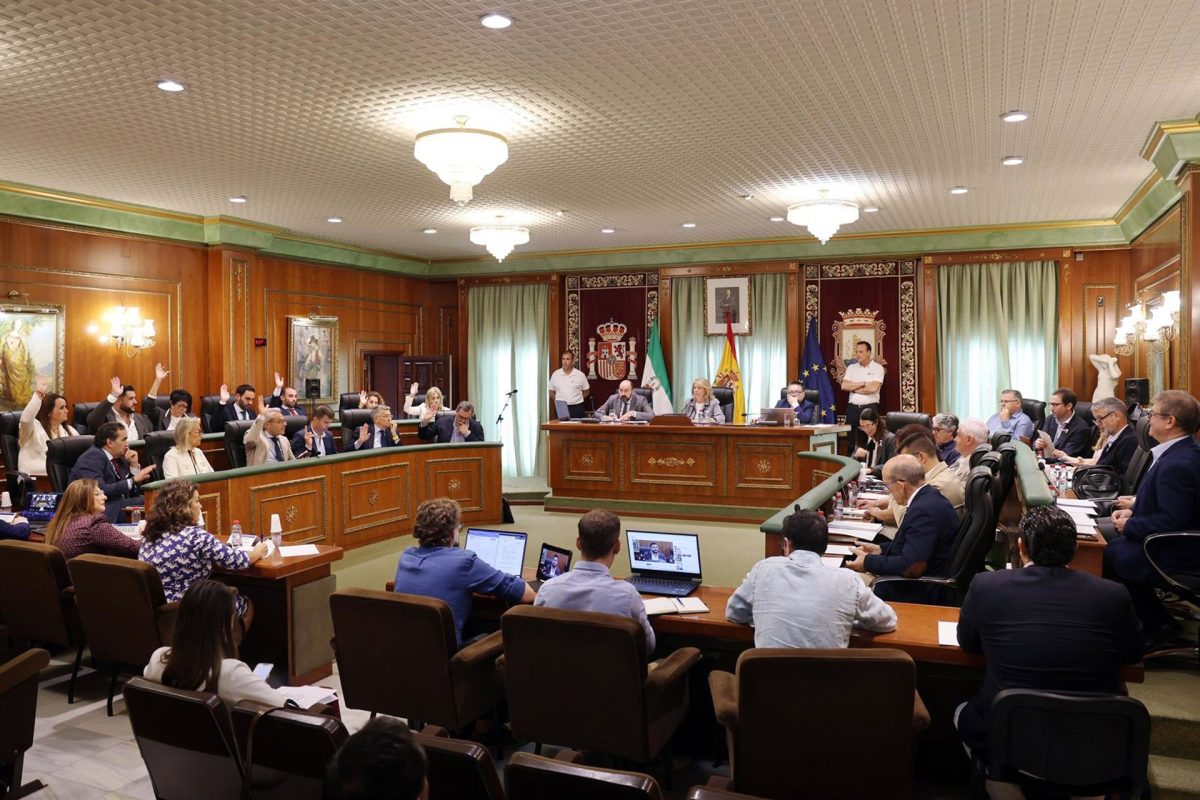 El Pleno de Marbella aprueba la aceptación del legado de 2,5 millones donado por Paolo Ghirelli - Pleno Marbella Pleno Ayuntamiento Marbella