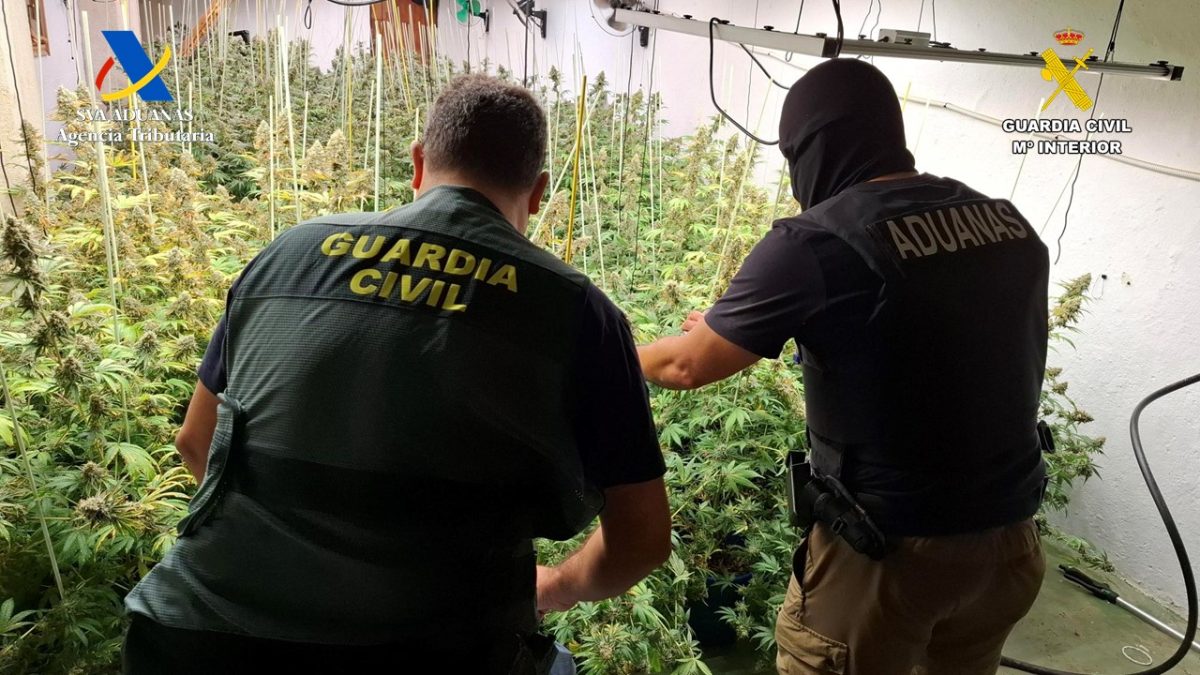 Desmantelada una plantación de marihuana con casi 210 plantas en una finca rural ocupada de Arenas, Axarquía - agentes guardia civil plantacion marihuana policia aduanas agentes guardia civil plantacion marihuana policia aduanas