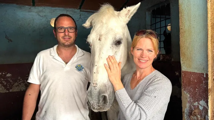 Un santuario de Antequera pide ayuda para construir un establo que mejore la vida de 40 caballos rescatados - establo antequera caballos rescatados establo antequera caballos rescatados