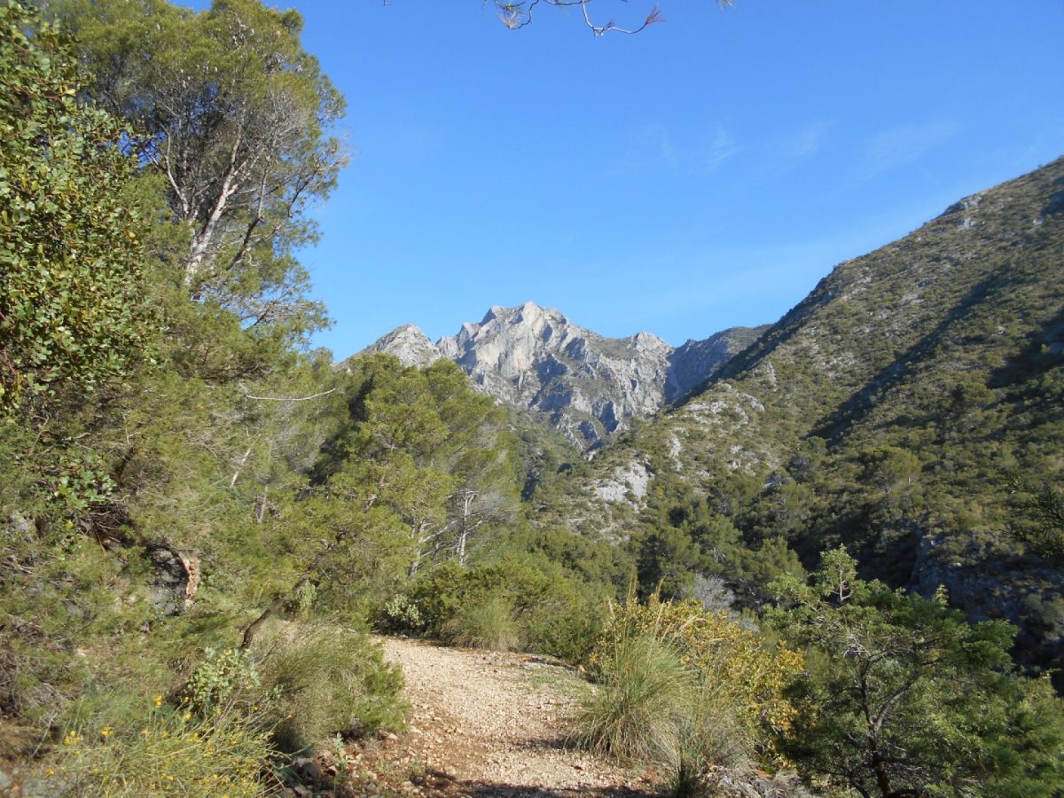 Encuentran un cadáver en la Ruta de los Monjes, en Marbella - ruta de los monjes marbella ruta de los monjes marbella